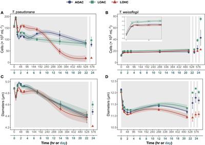 Ocean deoxygenation dampens resistance of diatoms to ocean acidification in darkness